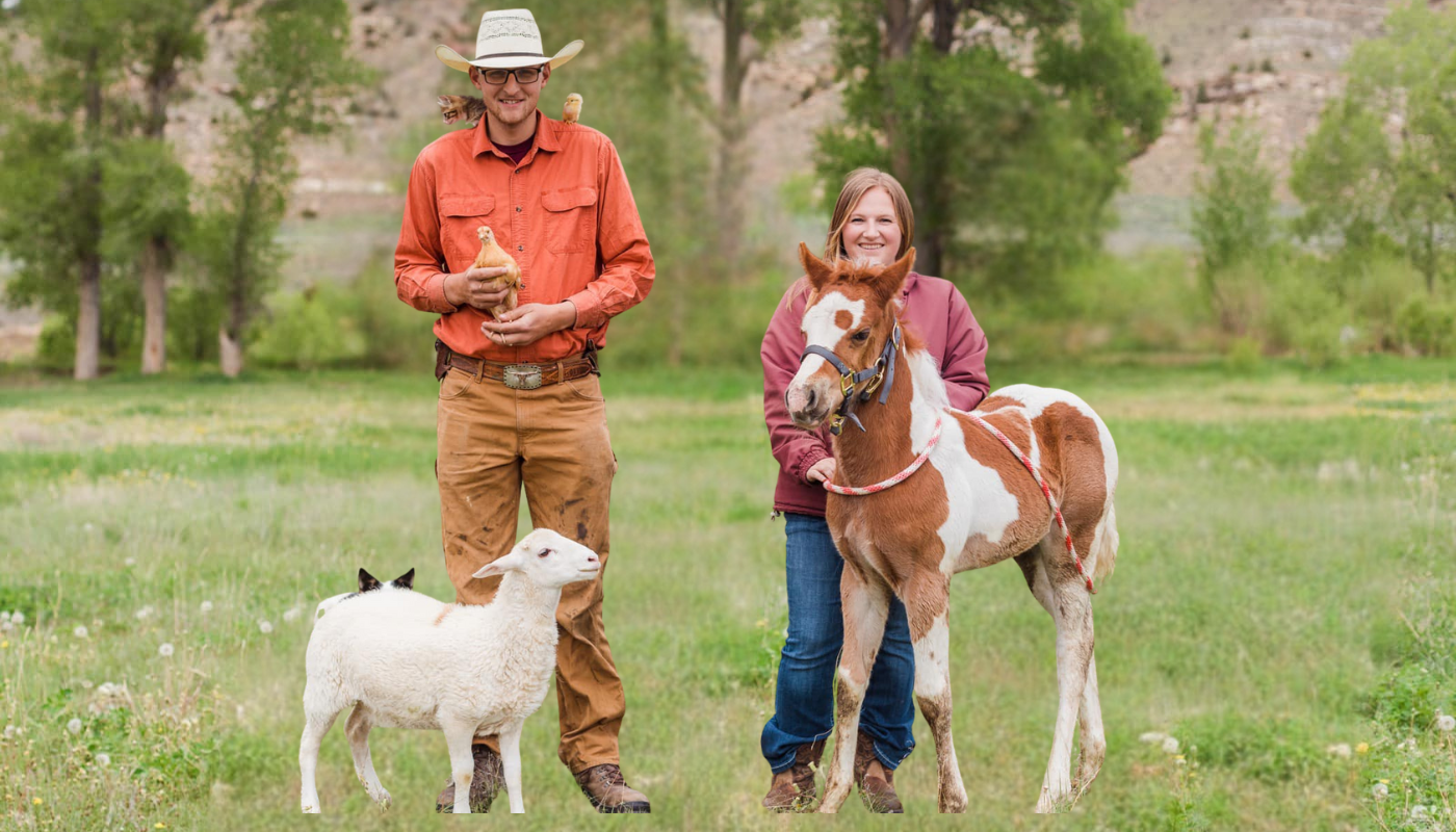 HIM School Students Working with Livestock